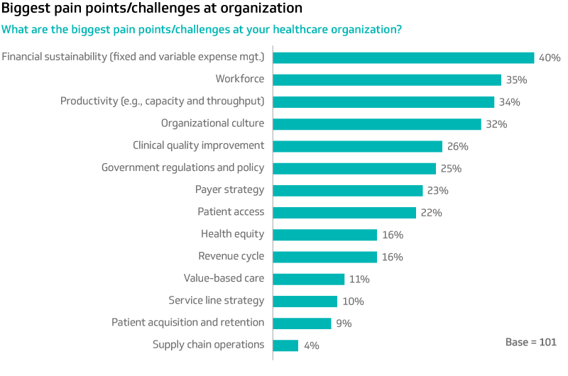 Biggest pain points/challenges at organization