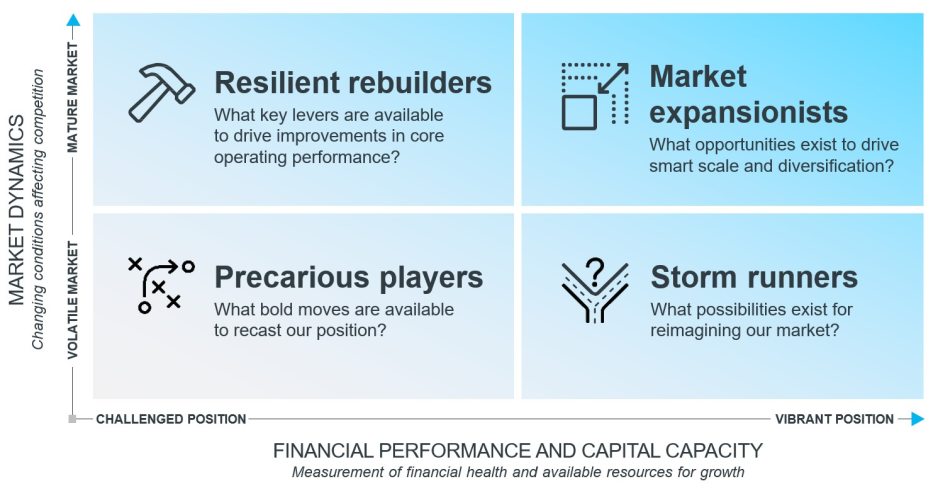 Healthcare strategic categories chart