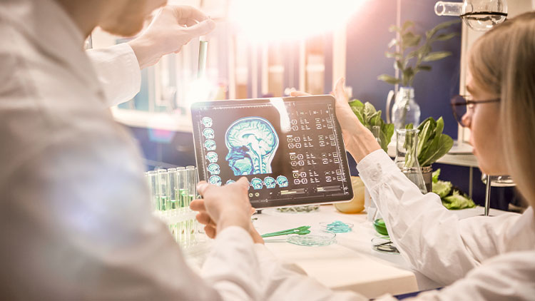 Scientists examining a brain scan.