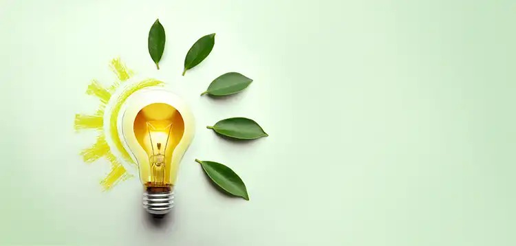 A light bulb surrounded by green leaves and a sun-like yellow design on a light background.