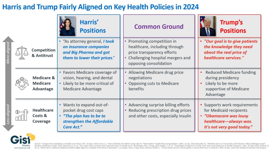 **** GRAPHIC OF THE WEEK A key insight illustrated in infographic form.  Health policy in a non-healthcare-centric election graphic