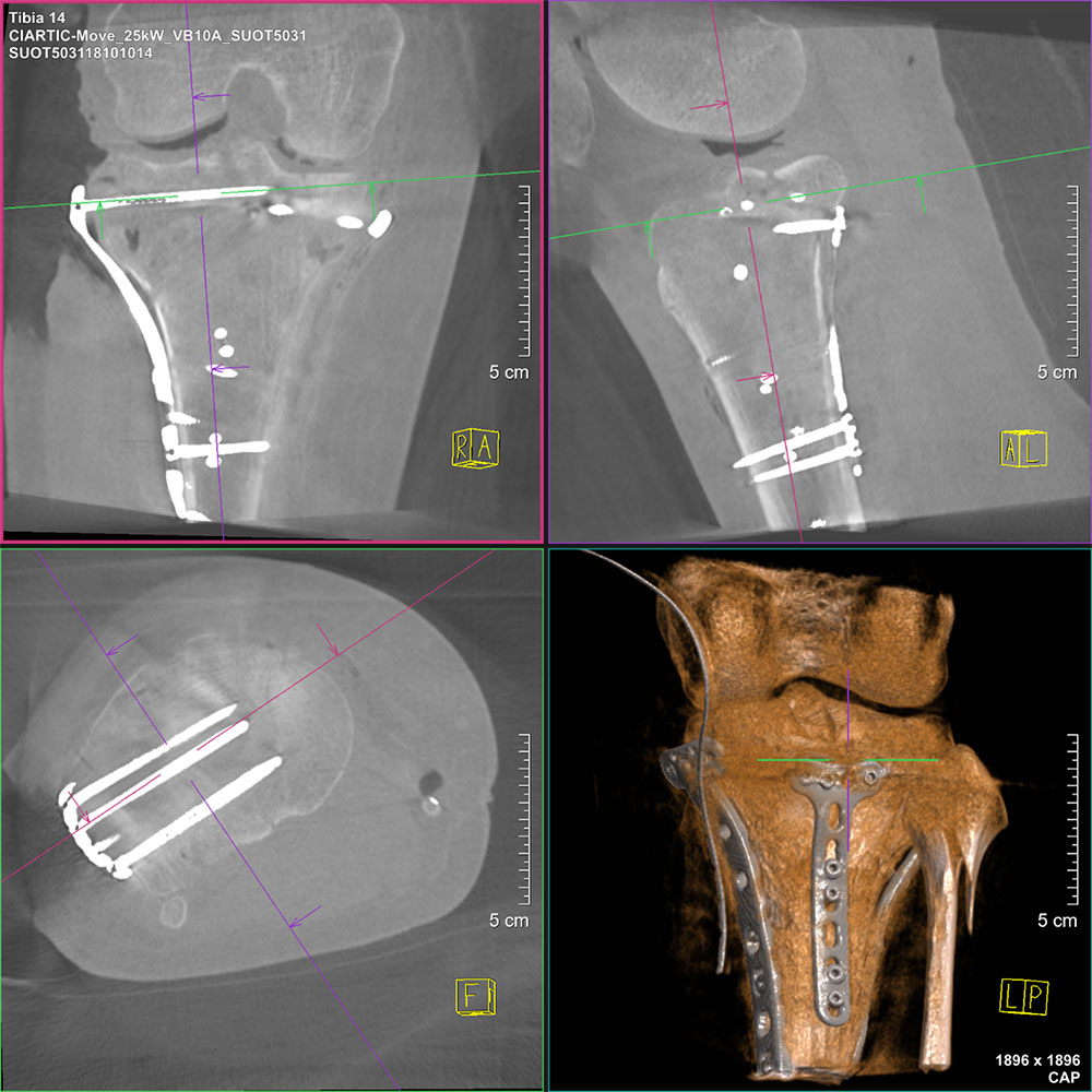 CBCT done on the Move