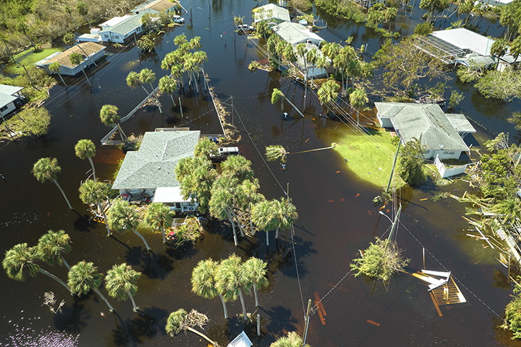 a flooded area with houses and trees