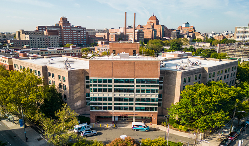 NYC Health + Hospitals